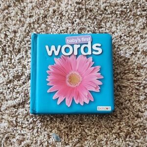 Bendon Baby's First Words Book - Blue and Pink
